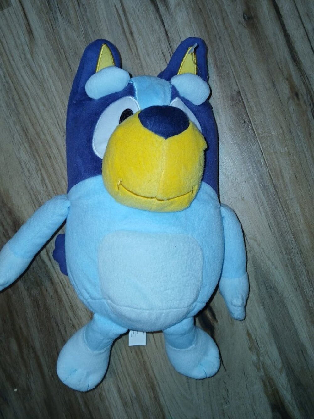 Bluey Stuffie
